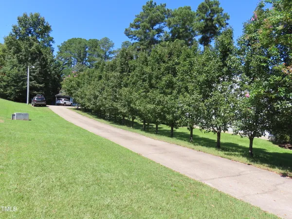 a view of a park with large trees