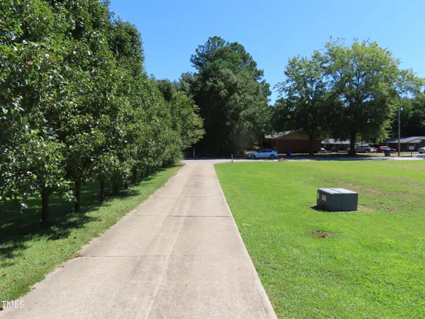a view of a park with plants and trees