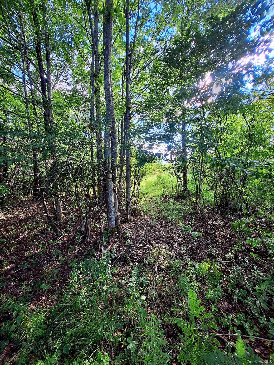 Burnt Ridge Road Fallsburg, NY 12733 - Photo 7 of 38 Gallery Image 7