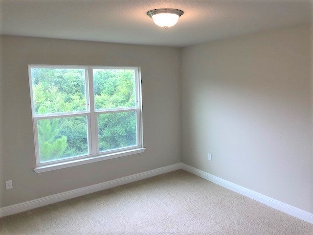 23958 Cottage Loop Orange Beach, AL 36561 - Photo 16 of 28 Bedroom 3