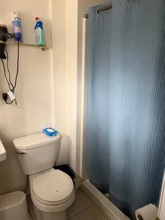 a white toilet sitting next to a shower curtain