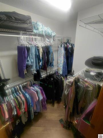 4795 Hopewell Road Mayfield, KY 42066 - Photo 19 of 36 Primary walk-in closet