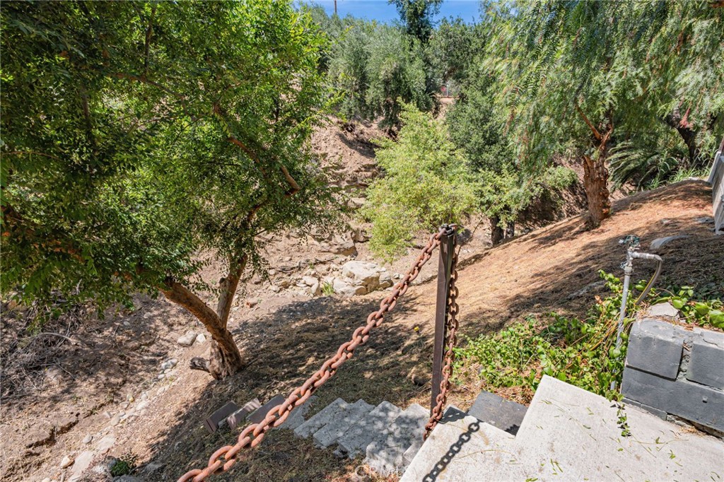 1126 Katherine Road Simi Valley, CA 93063 - Photo 53 of 66 a view of a yard with plants and trees