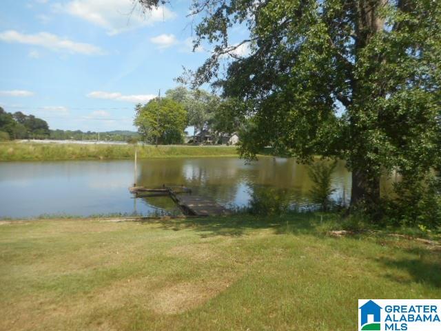 117 Rock Inn Trail Cropwell, AL 35054 - Photo 17 of 18