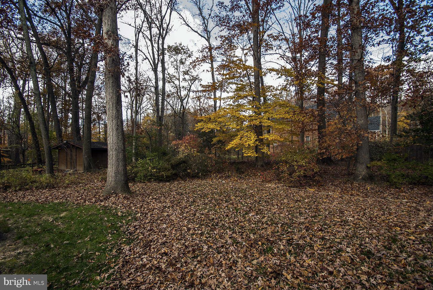 7204 Homestead Place Springfield, VA 22151 - Photo 25 of 25 Exterior (Rear)