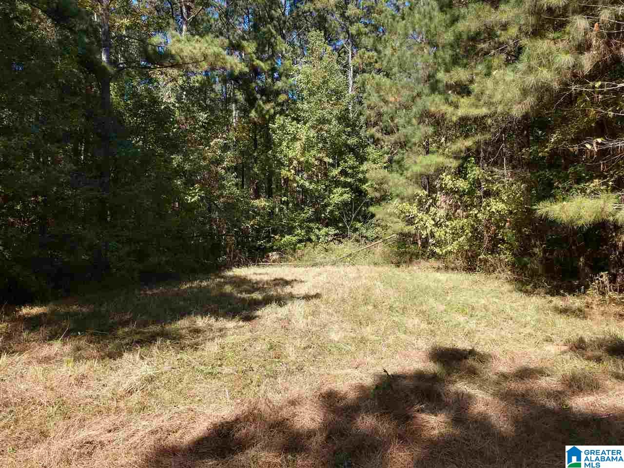 5403 County Road 41 Clanton, AL 35046 - Photo 9 of 12