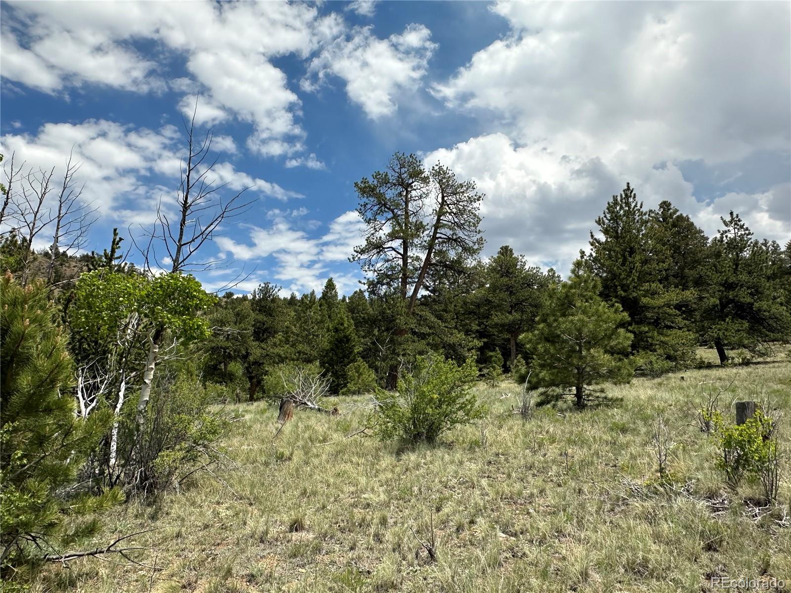 3 Cohonina Road Hartsel, CO 80449 - Photo 13 of 26 Gallery Image 13