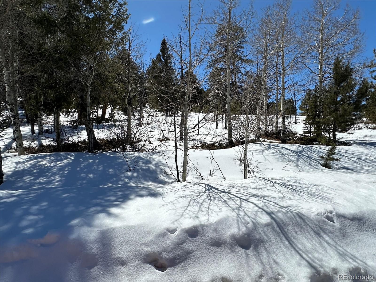 3 Cohonina Road Hartsel, CO 80449 - Photo 16 of 26 Gallery Image 16