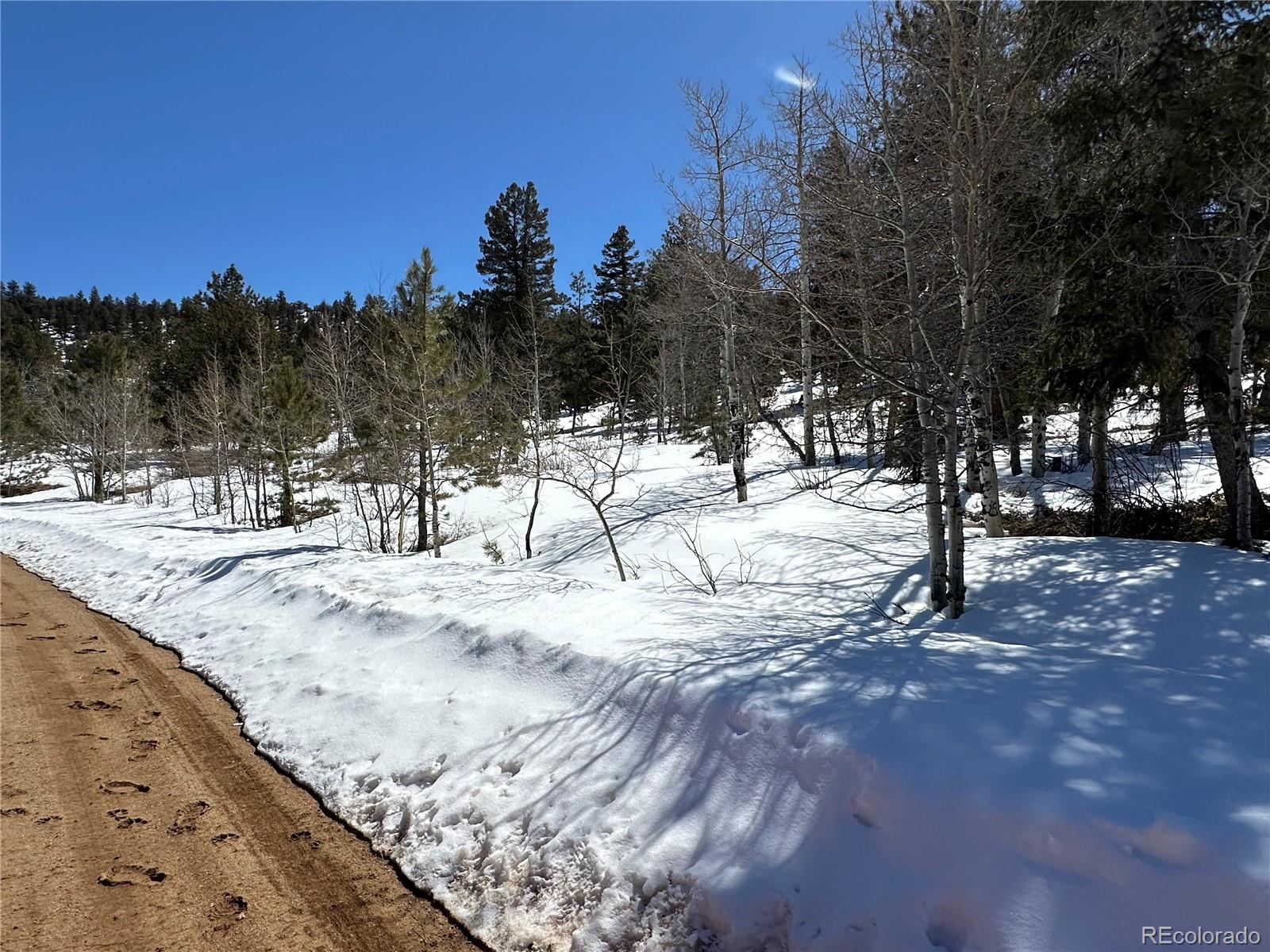 3 Cohonina Road Hartsel, CO 80449 - Photo 17 of 26 Gallery Image 17