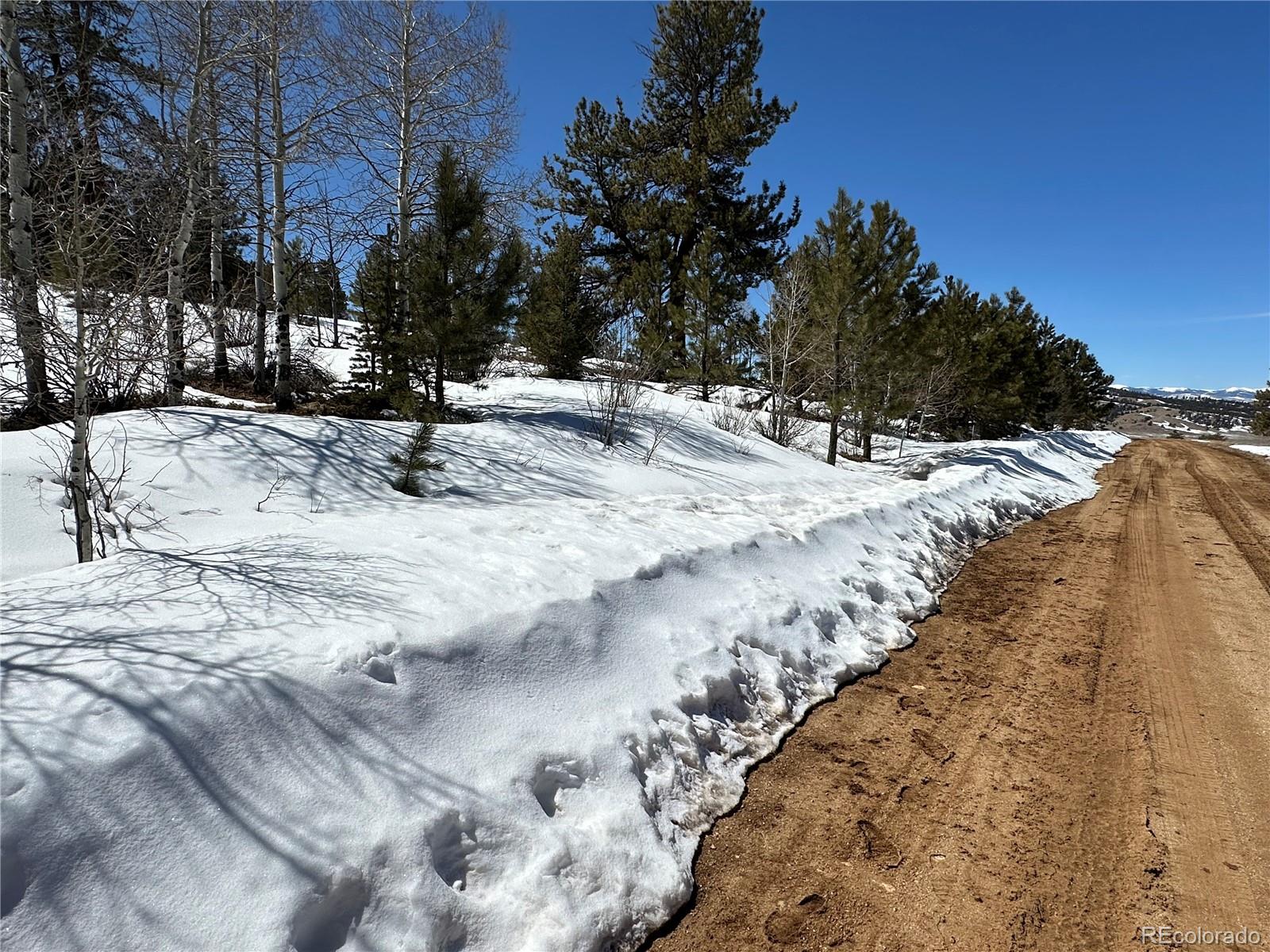 3 Cohonina Road Hartsel, CO 80449 - Photo 18 of 26 Gallery Image 18