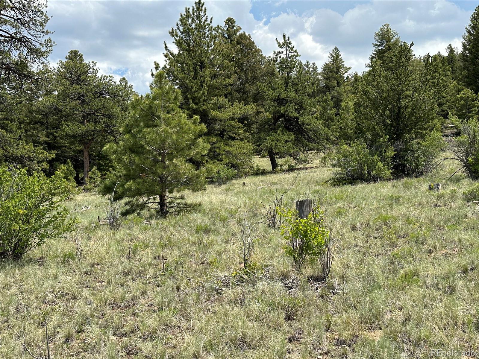 3 Cohonina Road Hartsel, CO 80449 - Photo 2 of 26 Gallery Image 2