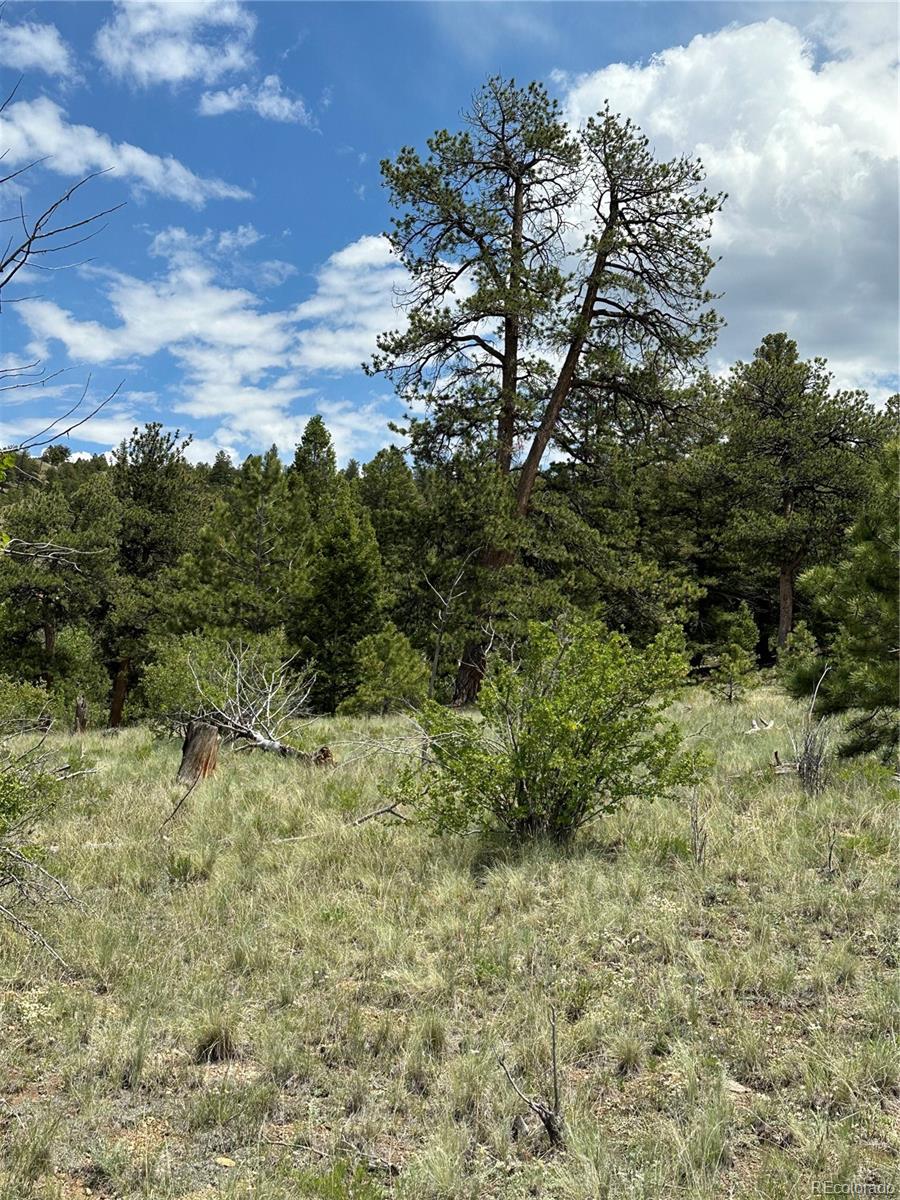 3 Cohonina Road Hartsel, CO 80449 - Photo 23 of 26 Gallery Image 23