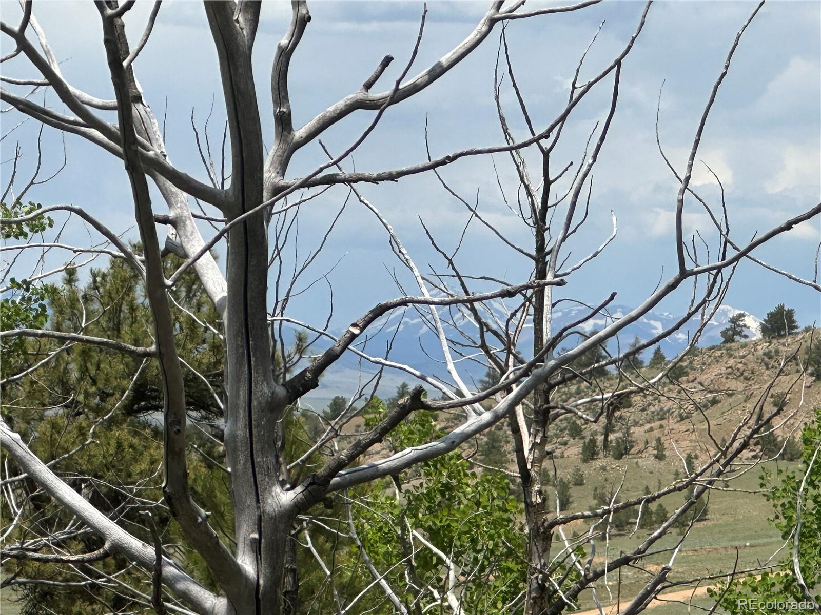 3 Cohonina Road Hartsel, CO 80449 - Photo 9 of 26 Gallery Image 9