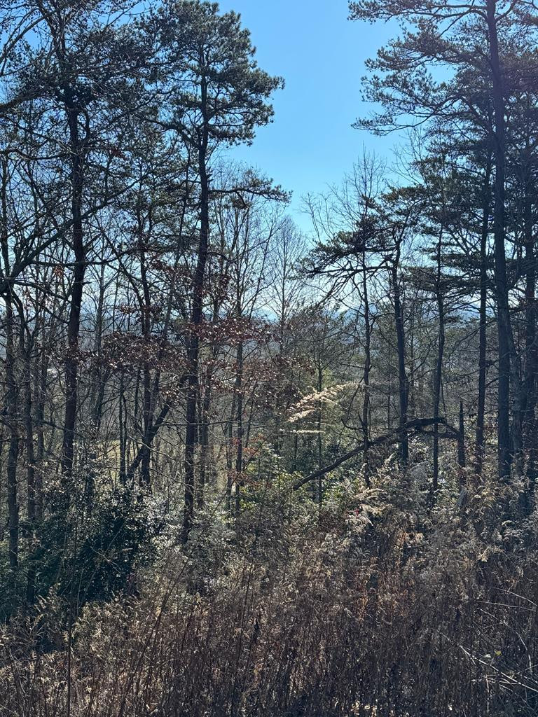 0 Mistletoe Ridge Murphy, NC 28906 - Photo 33 of 34