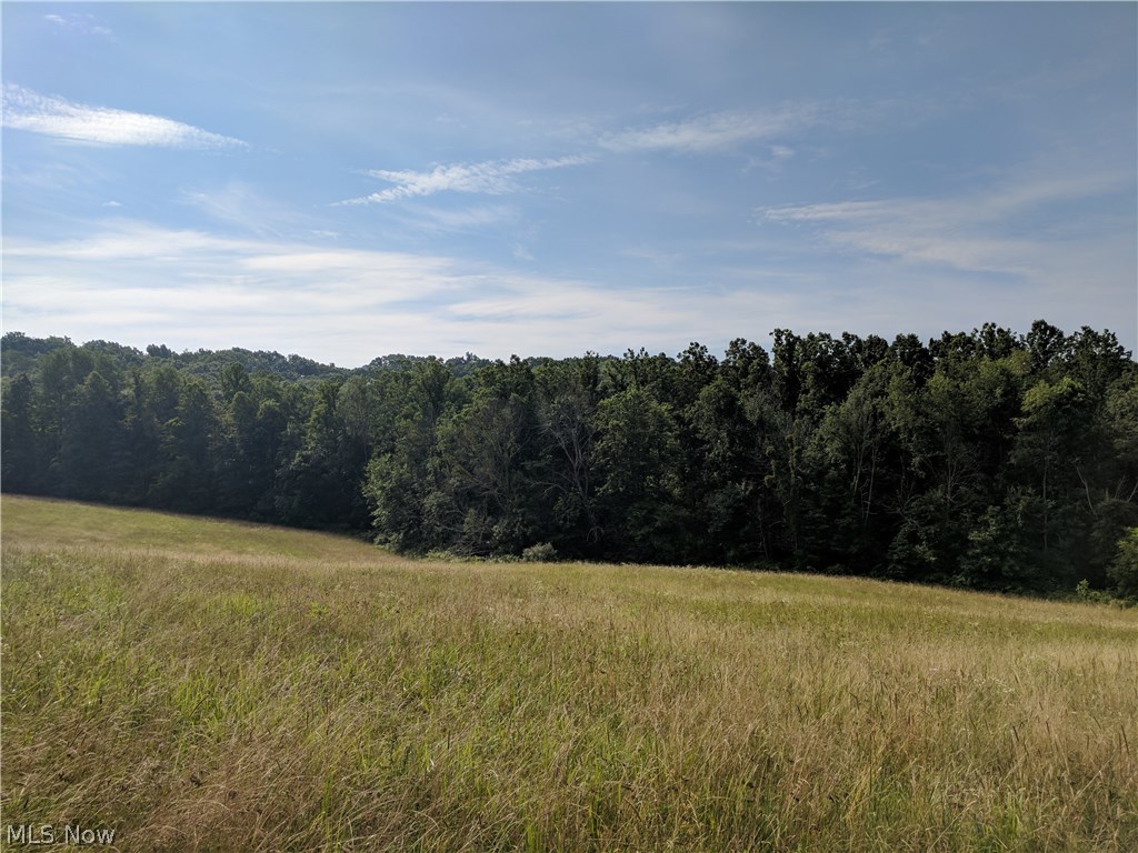 6806 Buehler Hill Road Port Washington, OH 43837 - Photo 16 of 19