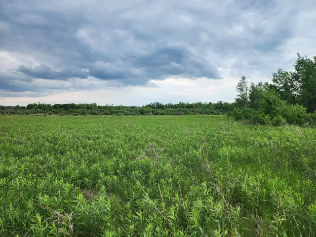 $250,000 | Tbd Rice Road, Hinckley, MN 55037