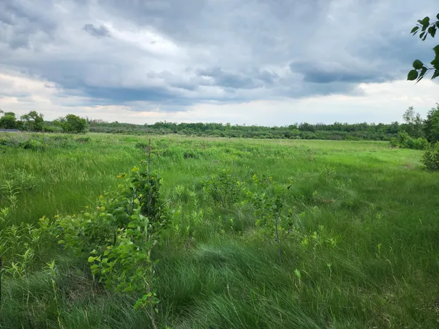 $250,000 | Tbd Rice Road, Hinckley, MN 55037