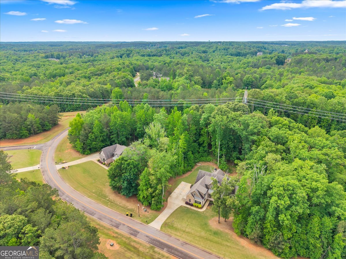 103 Heights Avenue Forsyth, GA 31029 - Photo 52 of 100