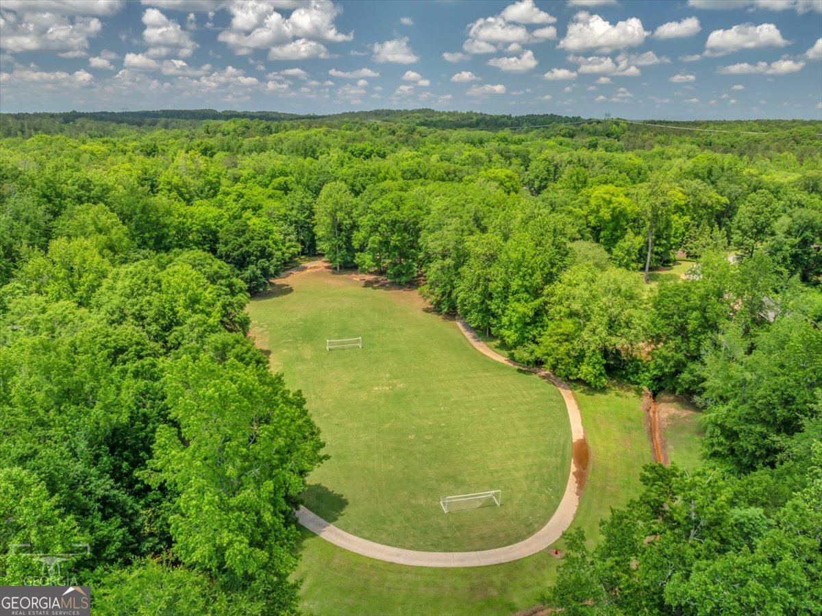 103 Heights Avenue Forsyth, GA 31029 - Photo 83 of 100