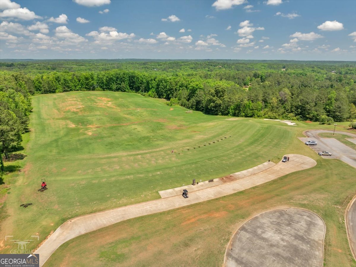 103 Heights Avenue Forsyth, GA 31029 - Photo 89 of 100