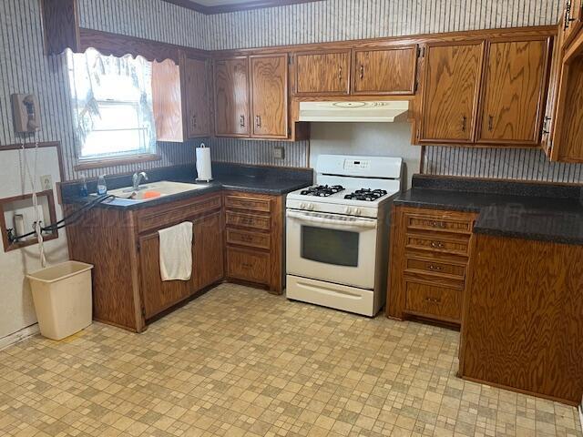 3811 Lakeview Road Hereford, TX 79045 - Photo 4 of 12 a kitchen with a stove and a sink