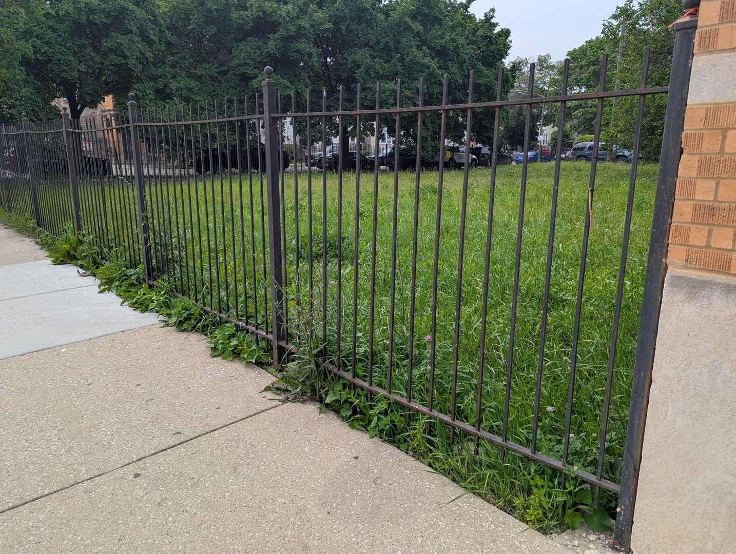 1756 West 48th Street Chicago, IL 60609 - Photo 8 of 12 a view of a garden with a swing