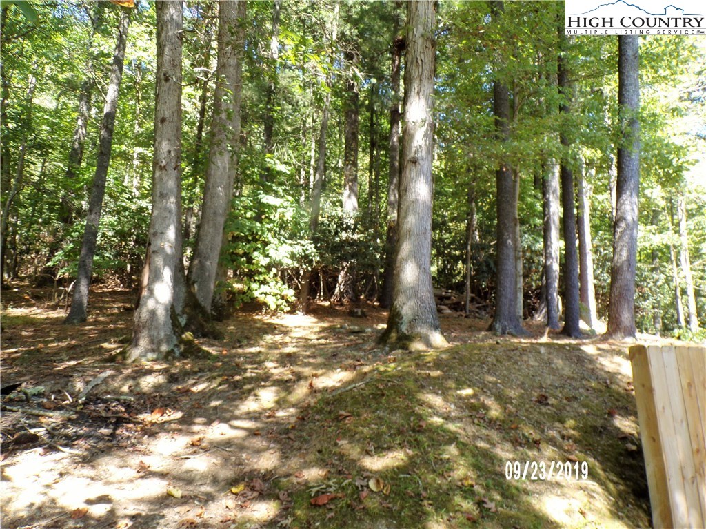 534 Herb Thomas Road Sugar Grove, NC 28679 - Photo 6 of 50 Gallery Image 6