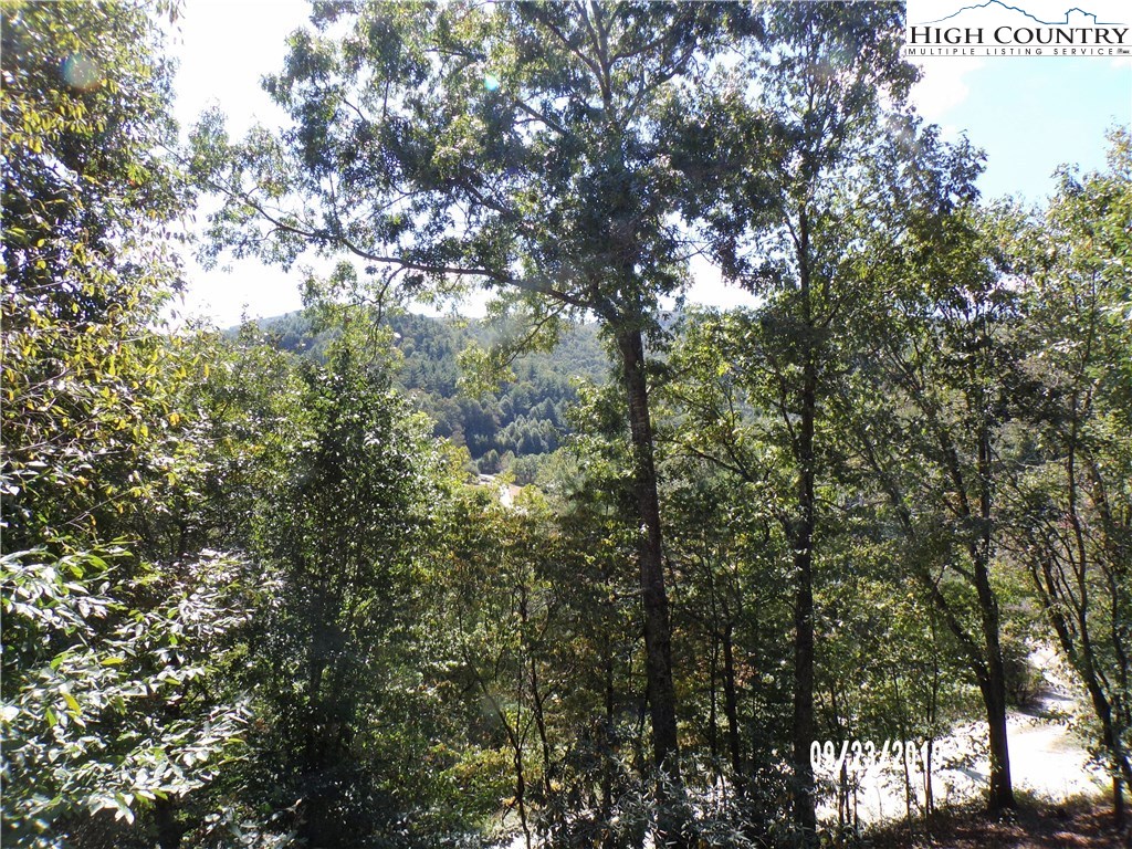 534 Herb Thomas Road Sugar Grove, NC 28679 - Photo 7 of 50 Gallery Image 7