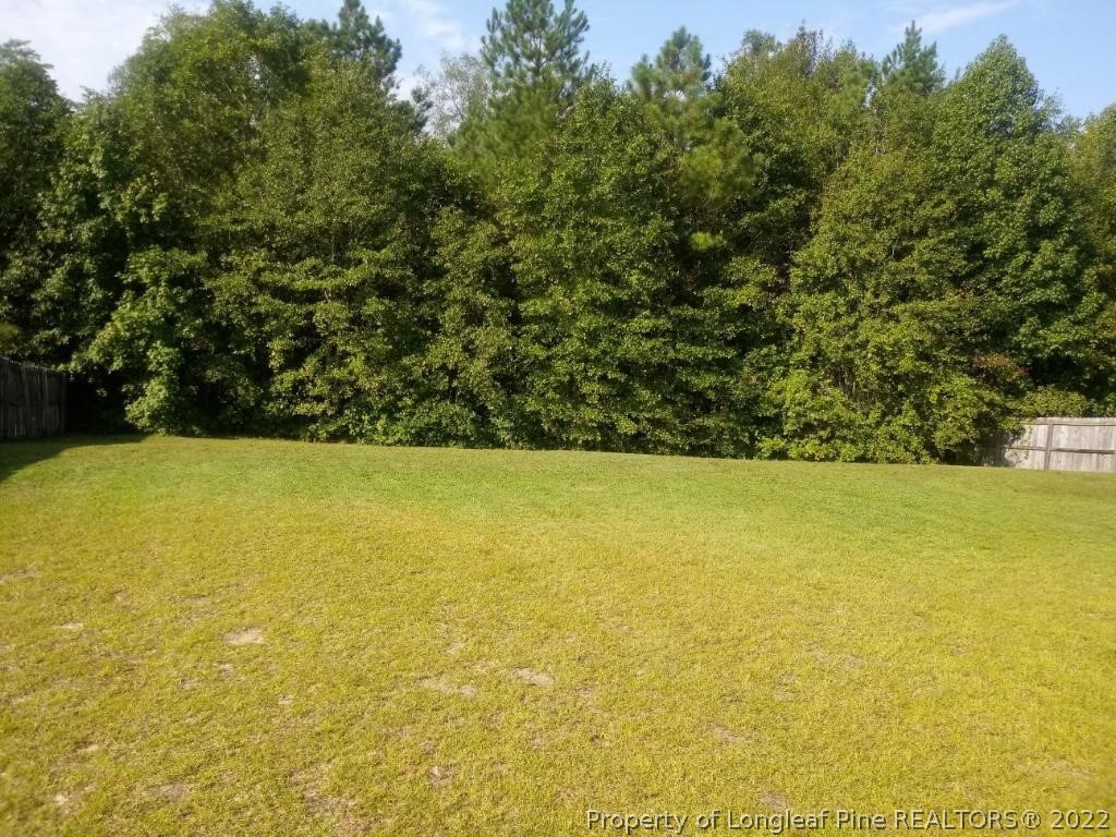 558 Cape Fear Road Raeford, NC 28376 - Photo 10 of 10 a view of outdoor space and yard