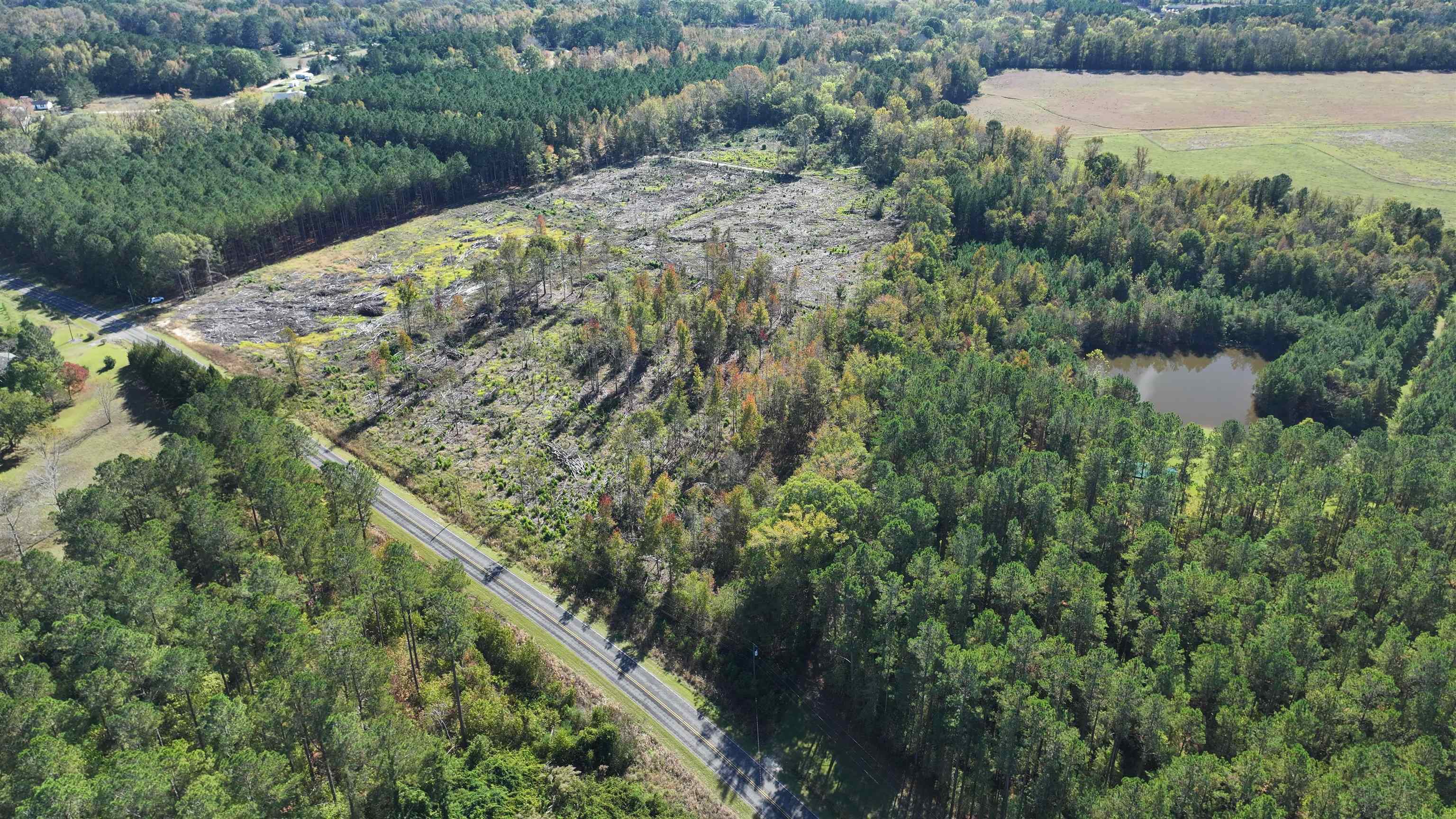 16.62-acres-tbd East Bay Road Gresham, SC 29546 - Photo 1 of 29