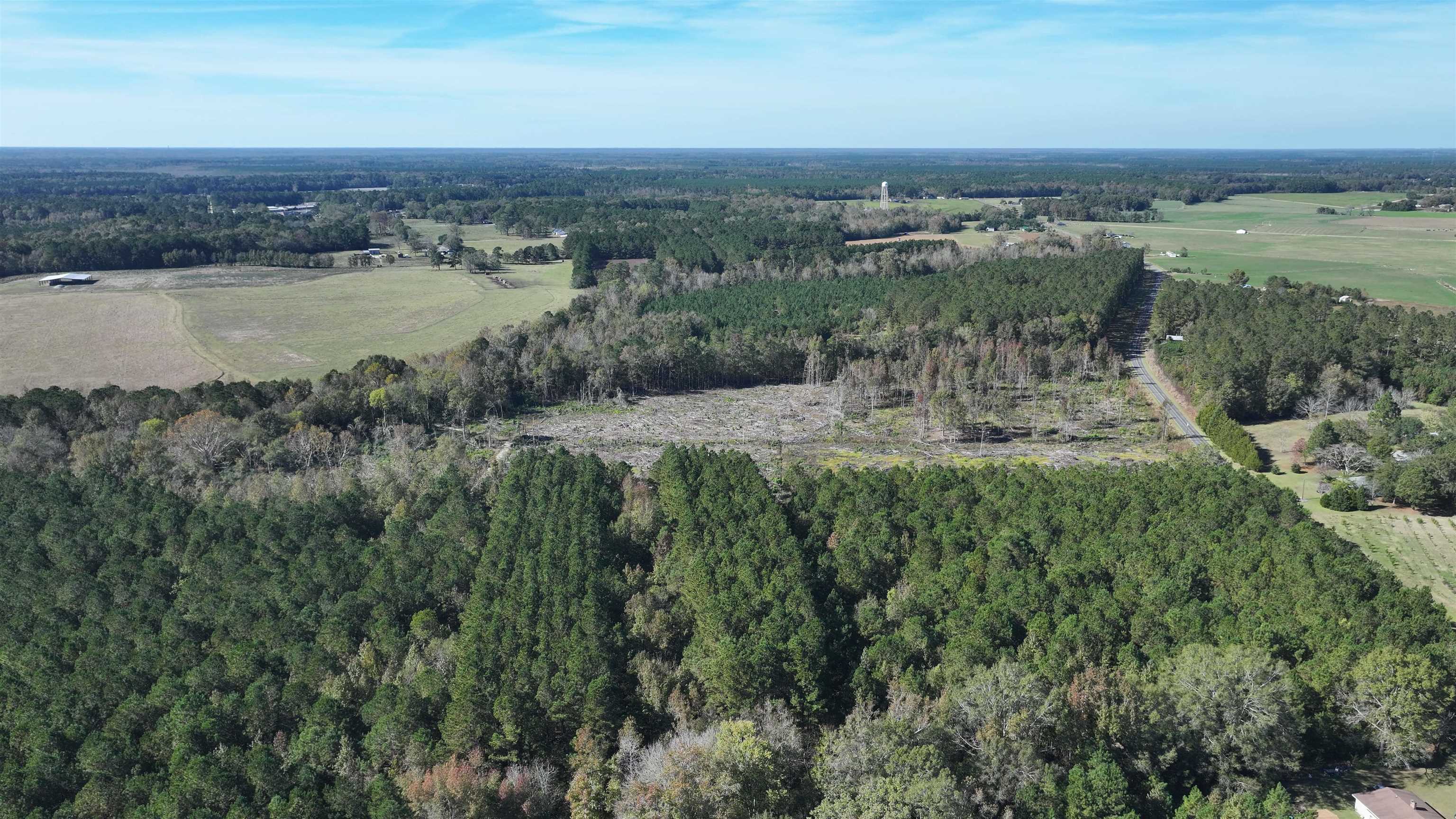 16.62-acres-tbd East Bay Road Gresham, SC 29546 - Photo 11 of 29