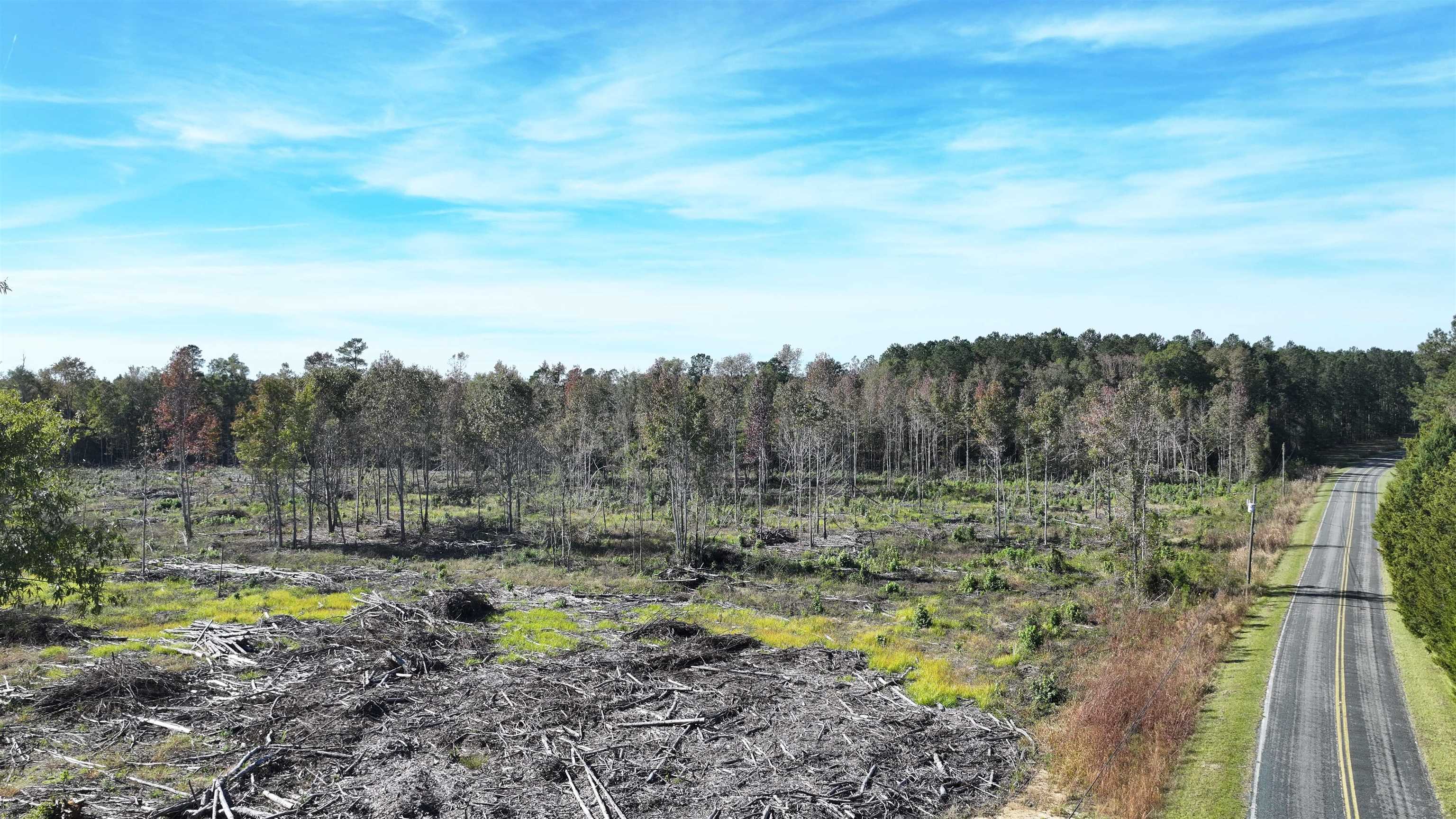 16.62-acres-tbd East Bay Road Gresham, SC 29546 - Photo 13 of 29