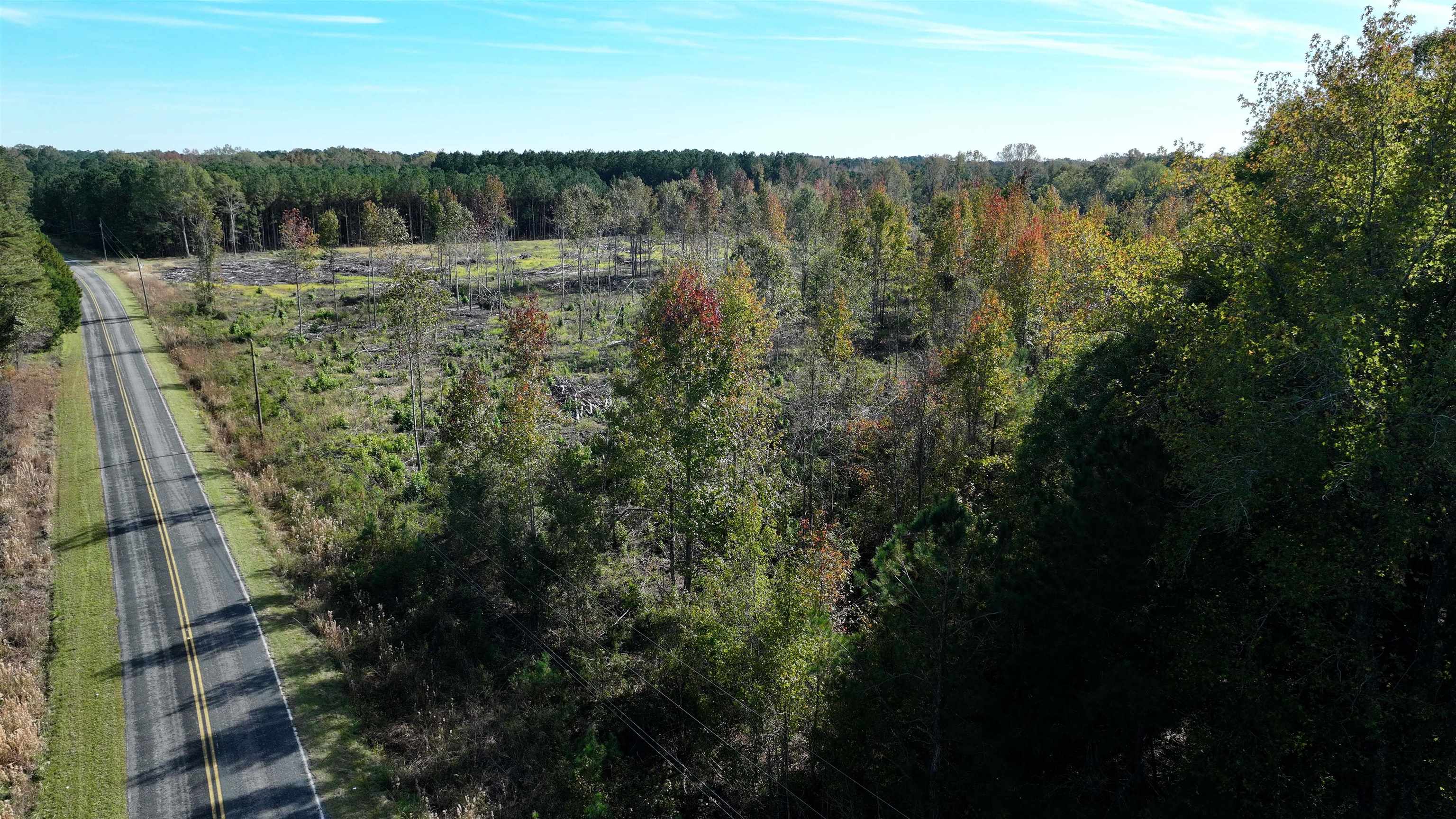 16.62-acres-tbd East Bay Road Gresham, SC 29546 - Photo 14 of 29