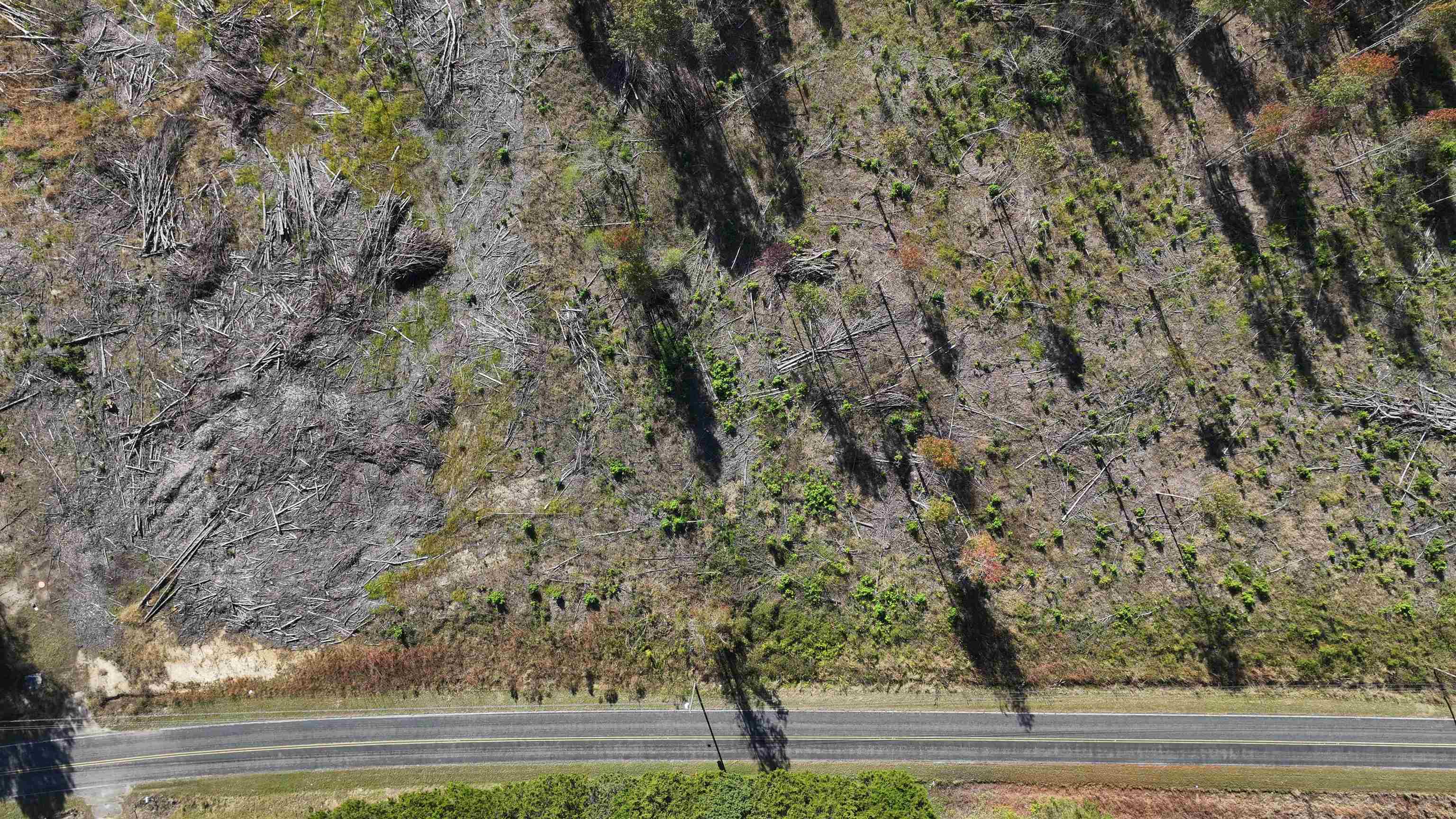 16.62-acres-tbd East Bay Road Gresham, SC 29546 - Photo 15 of 29