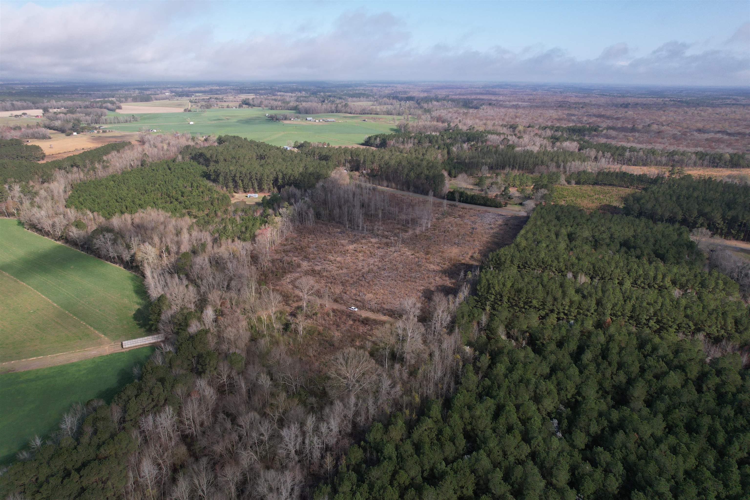 16.62-acres-tbd East Bay Road Gresham, SC 29546 - Photo 19 of 29