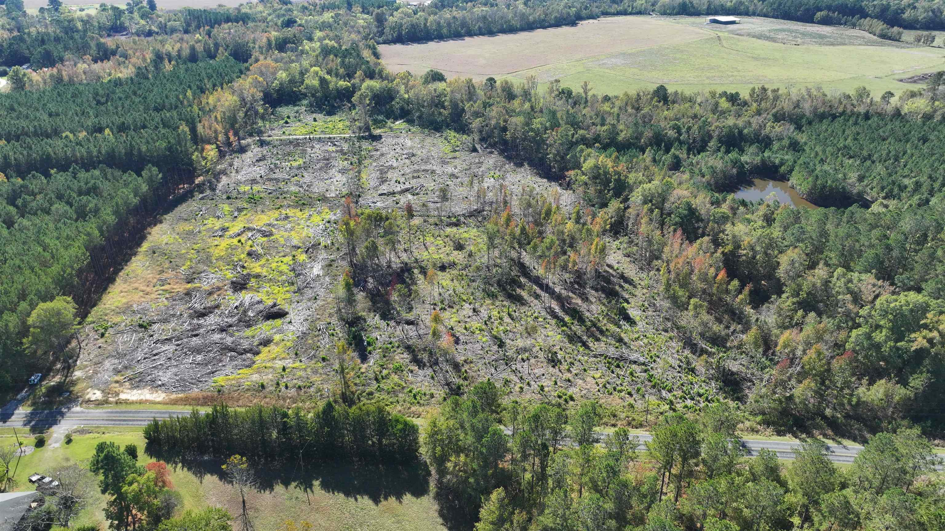 16.62-acres-tbd East Bay Road Gresham, SC 29546 - Photo 2 of 29