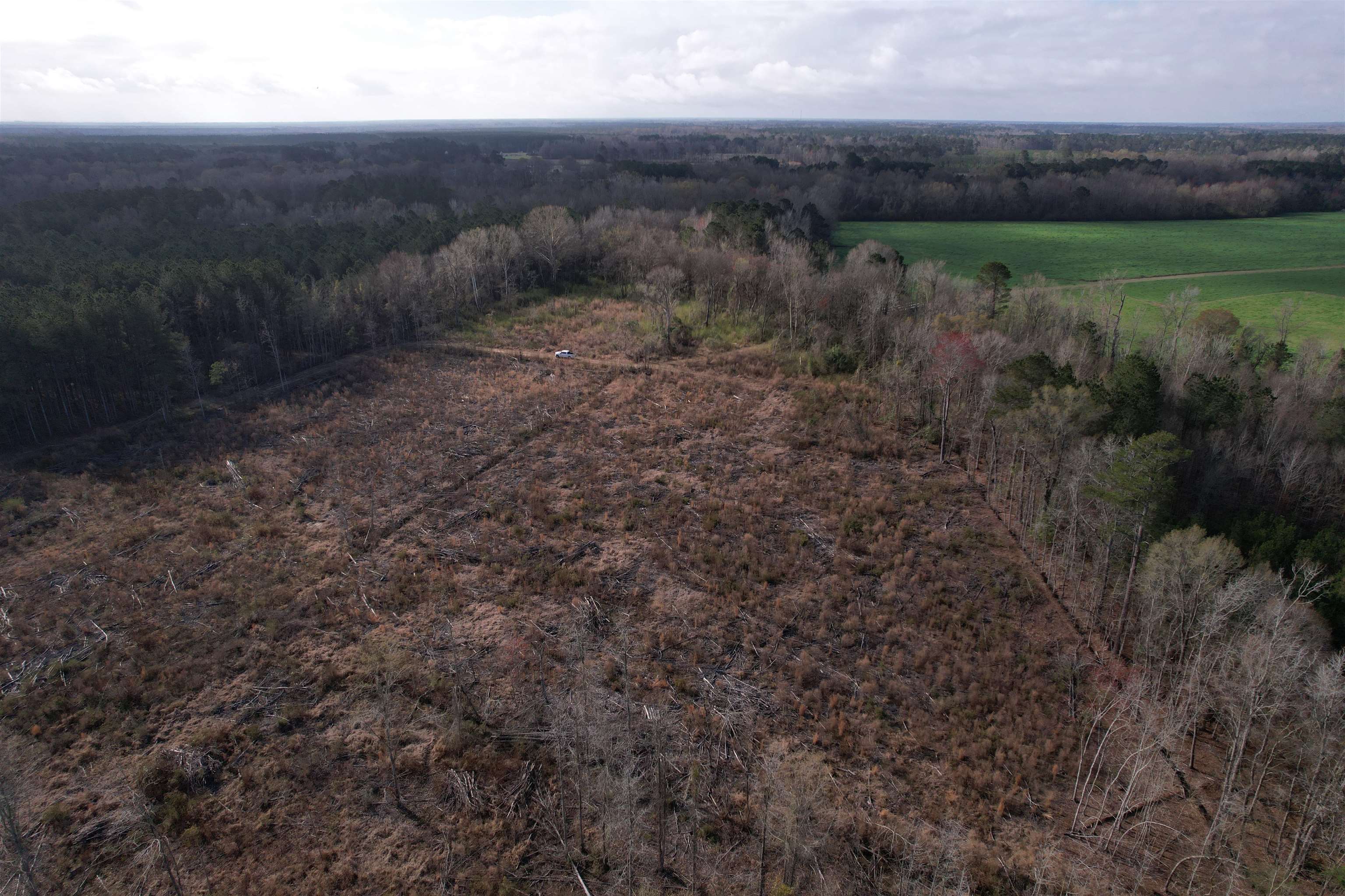 16.62-acres-tbd East Bay Road Gresham, SC 29546 - Photo 26 of 29