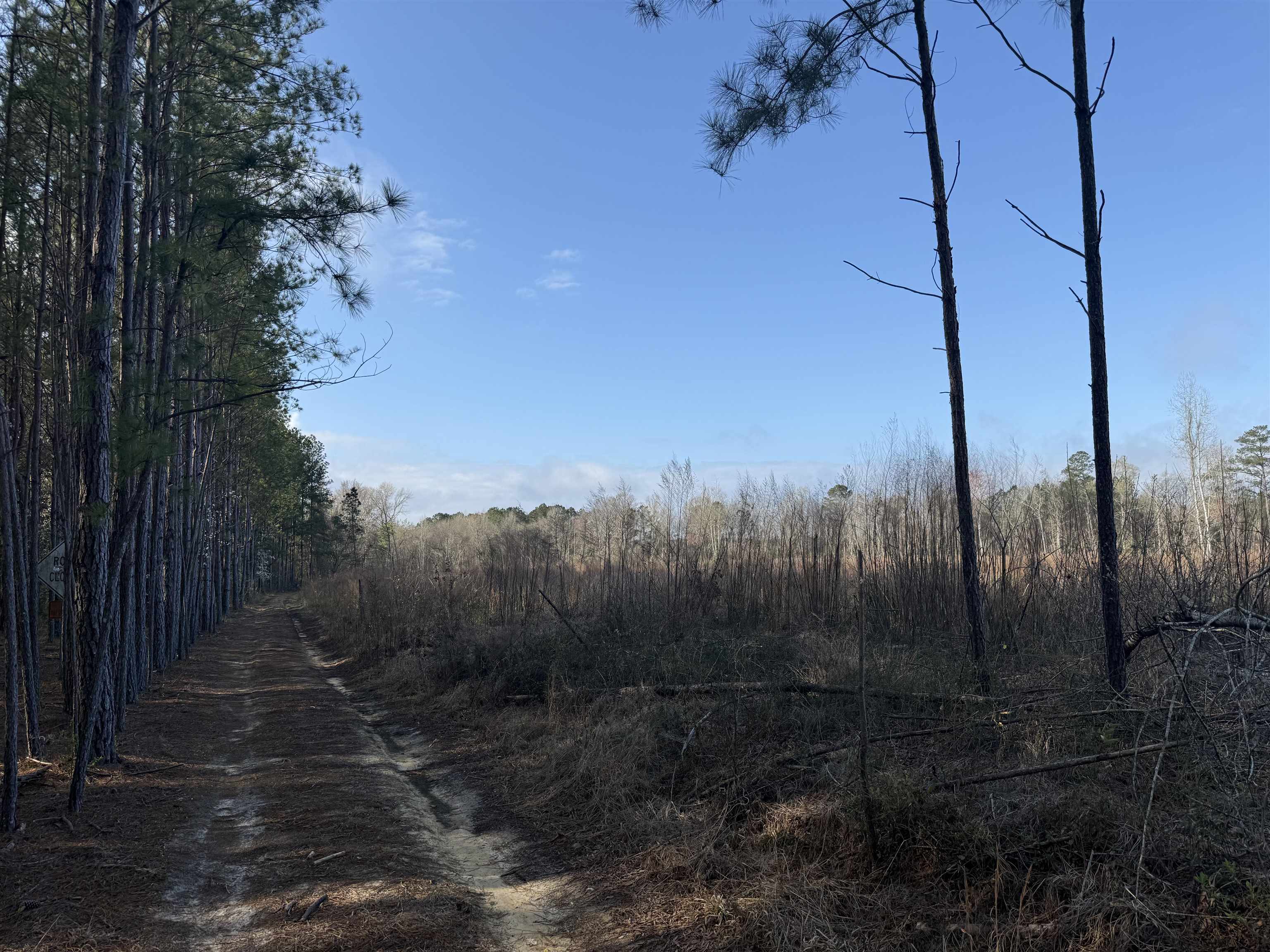 16.62-acres-tbd East Bay Road Gresham, SC 29546 - Photo 29 of 29