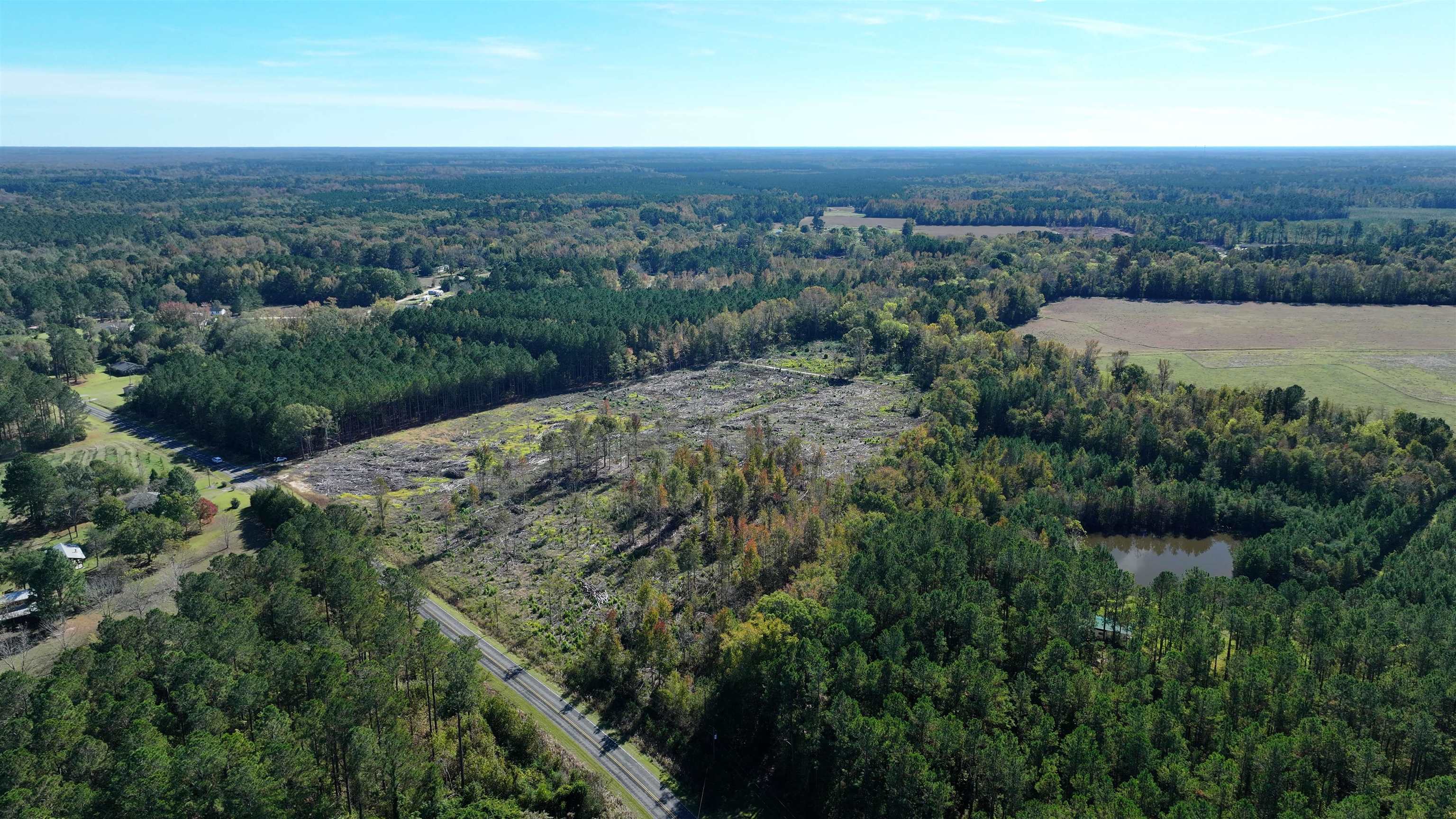 16.62-acres-tbd East Bay Road Gresham, SC 29546 - Photo 5 of 29