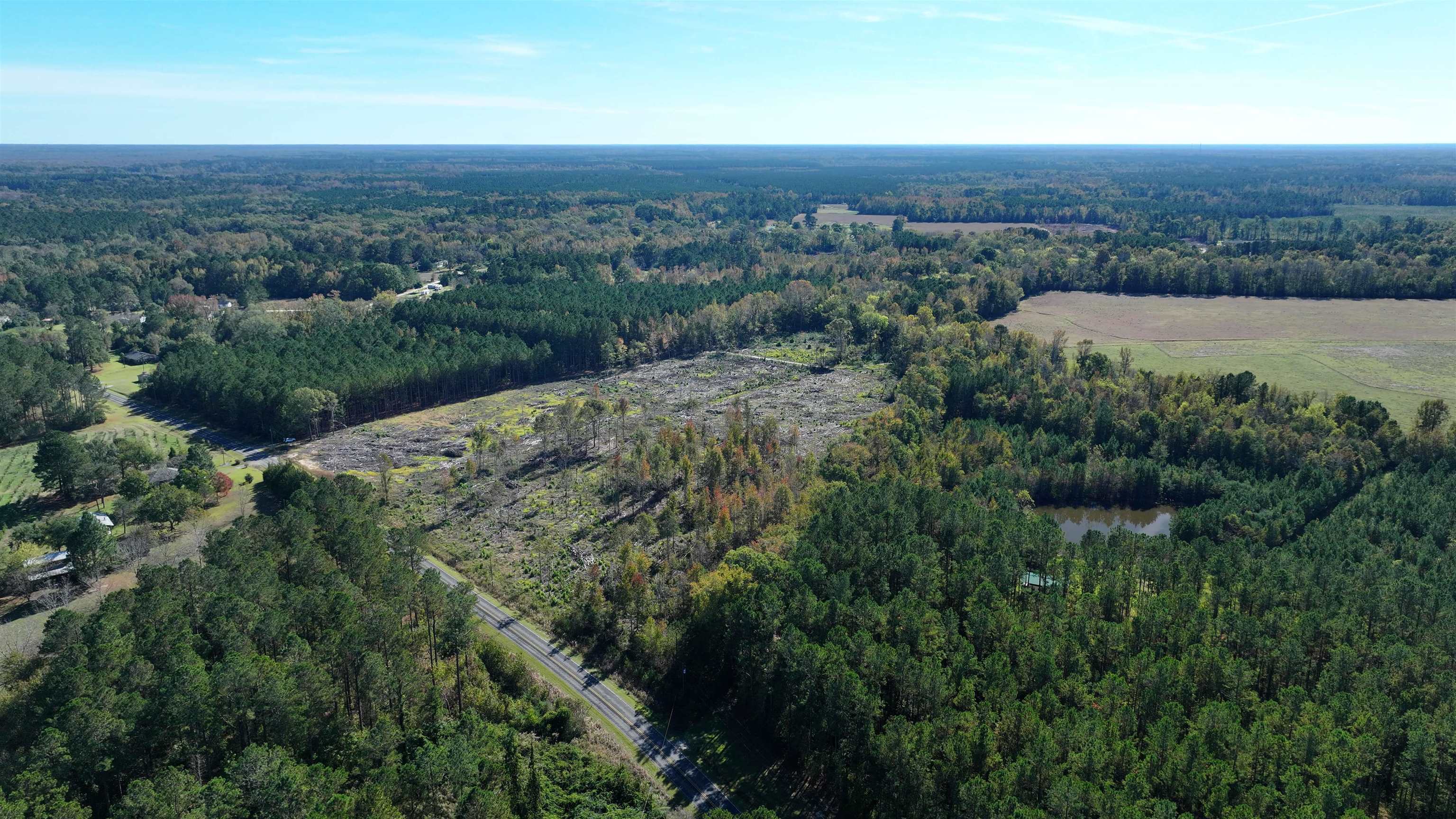 16.62-acres-tbd East Bay Road Gresham, SC 29546 - Photo 6 of 29