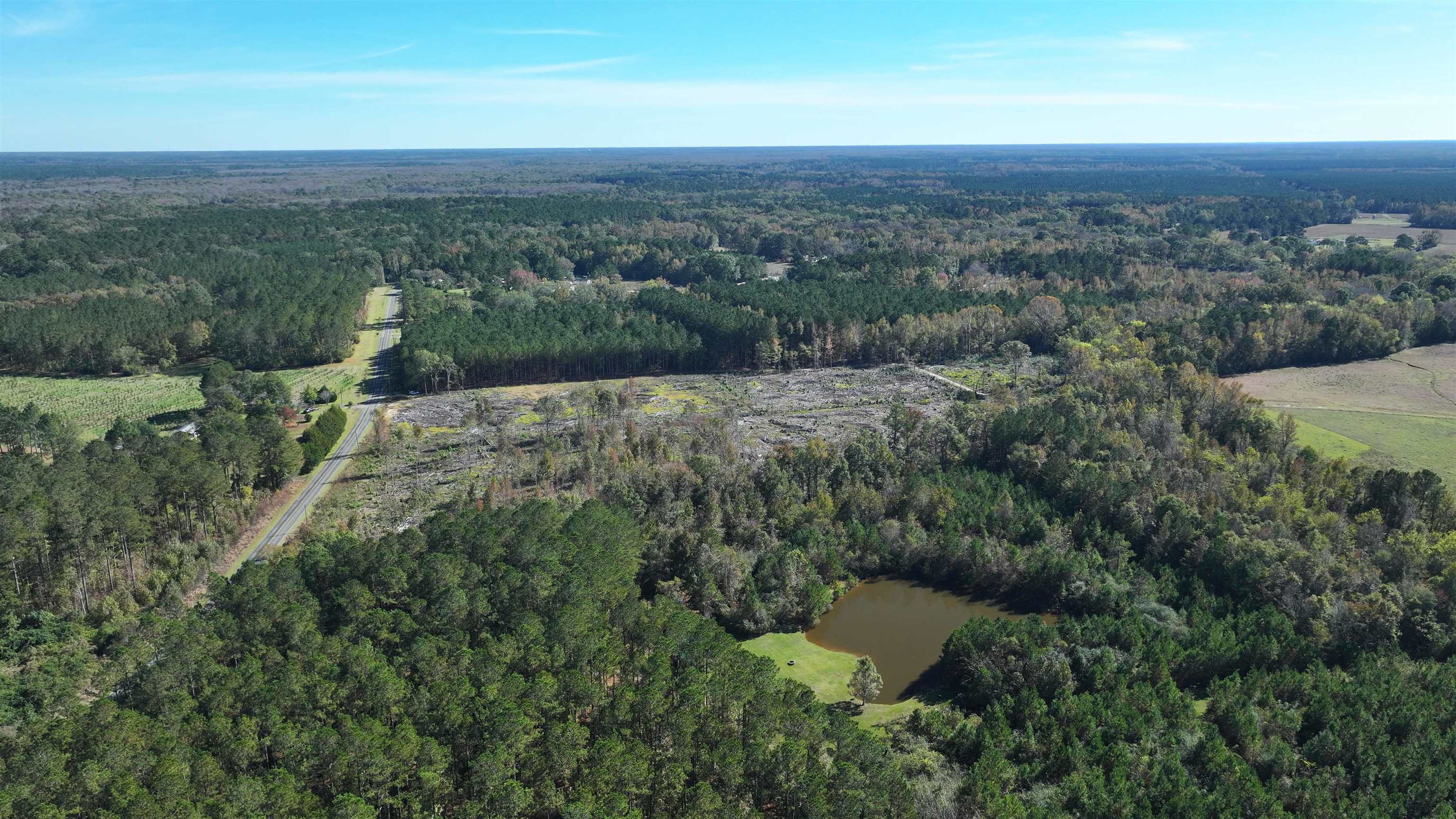 16.62-acres-tbd East Bay Road Gresham, SC 29546 - Photo 7 of 29