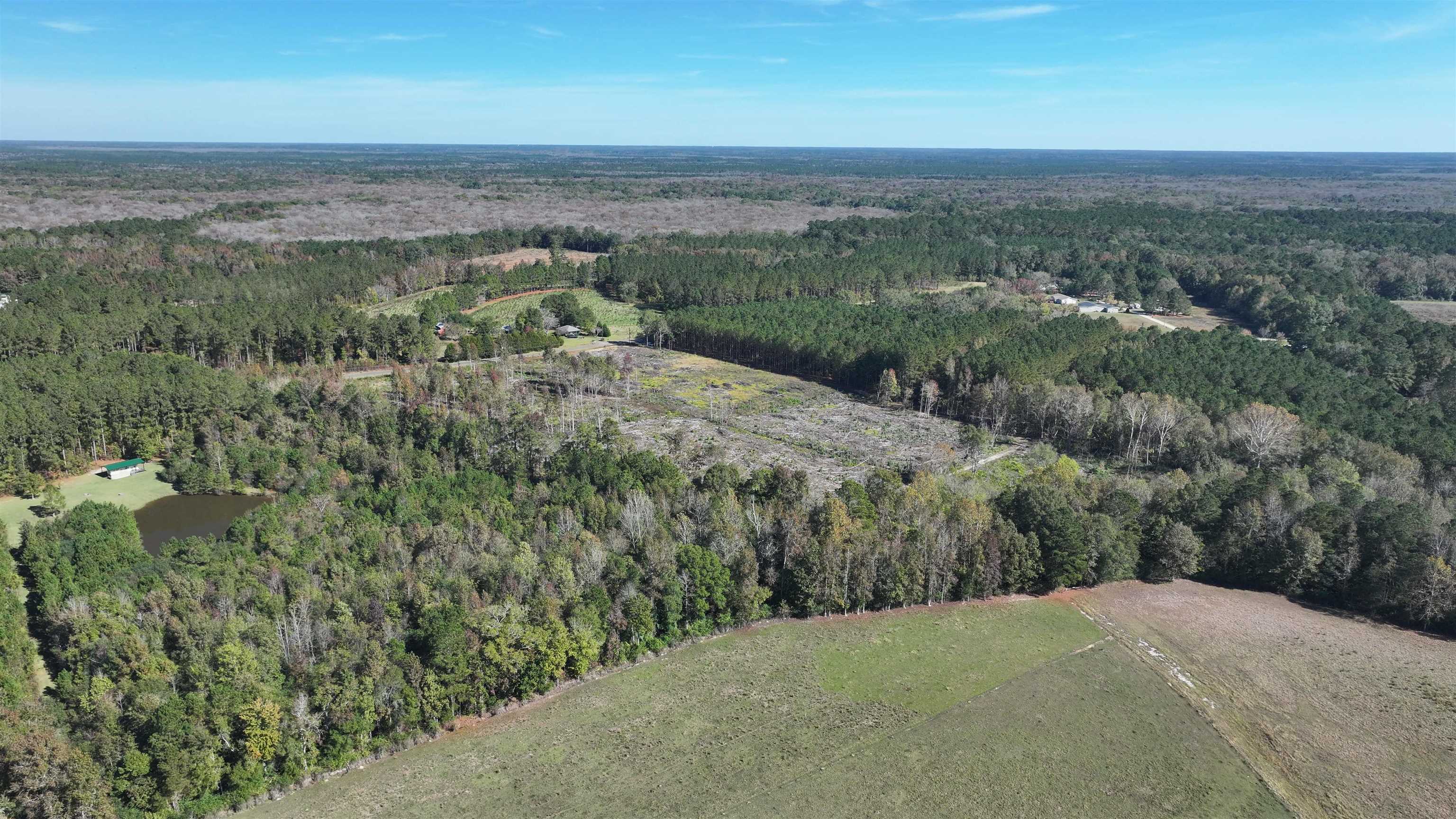 16.62-acres-tbd East Bay Road Gresham, SC 29546 - Photo 8 of 29