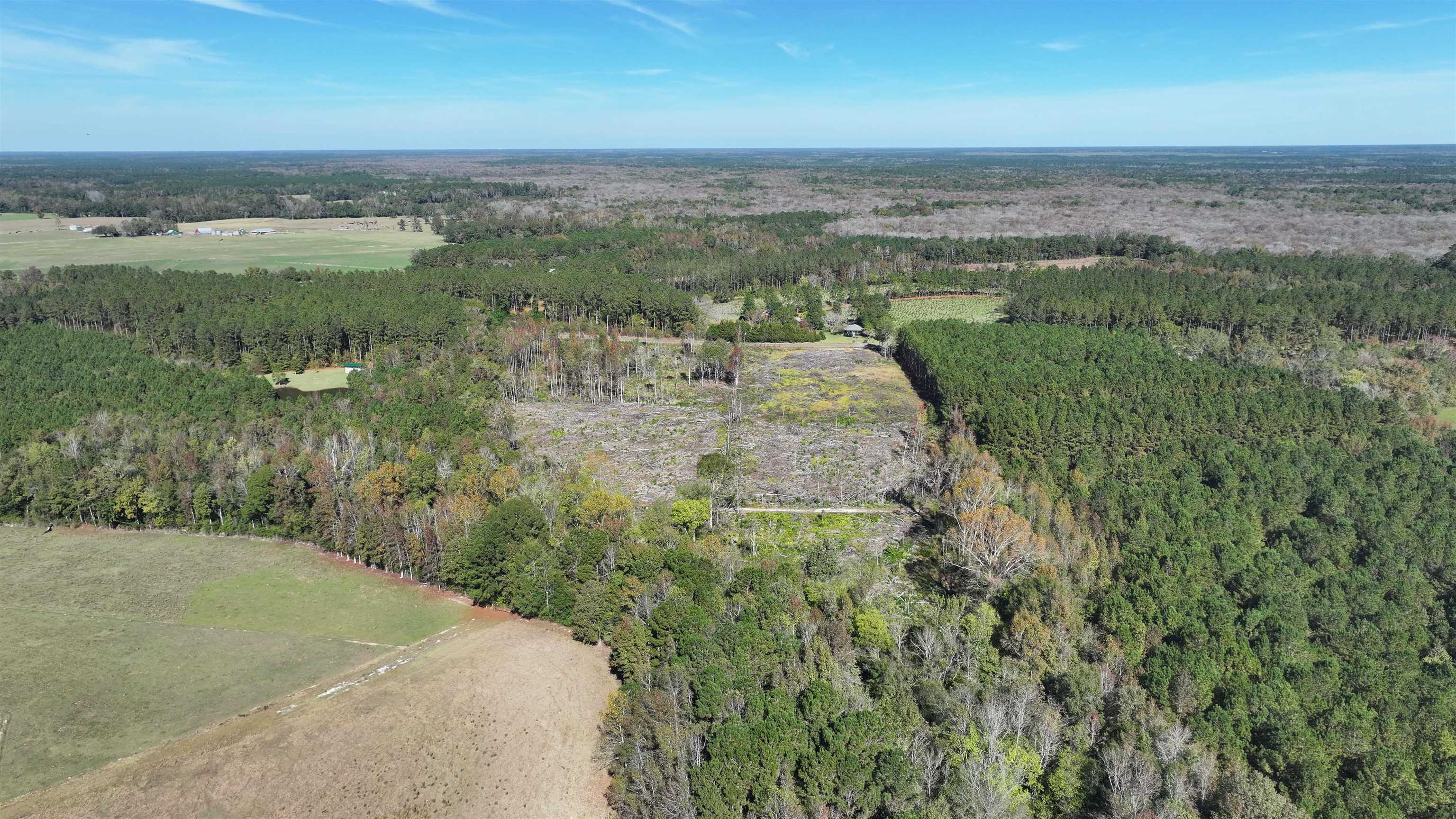 16.62-acres-tbd East Bay Road Gresham, SC 29546 - Photo 9 of 29