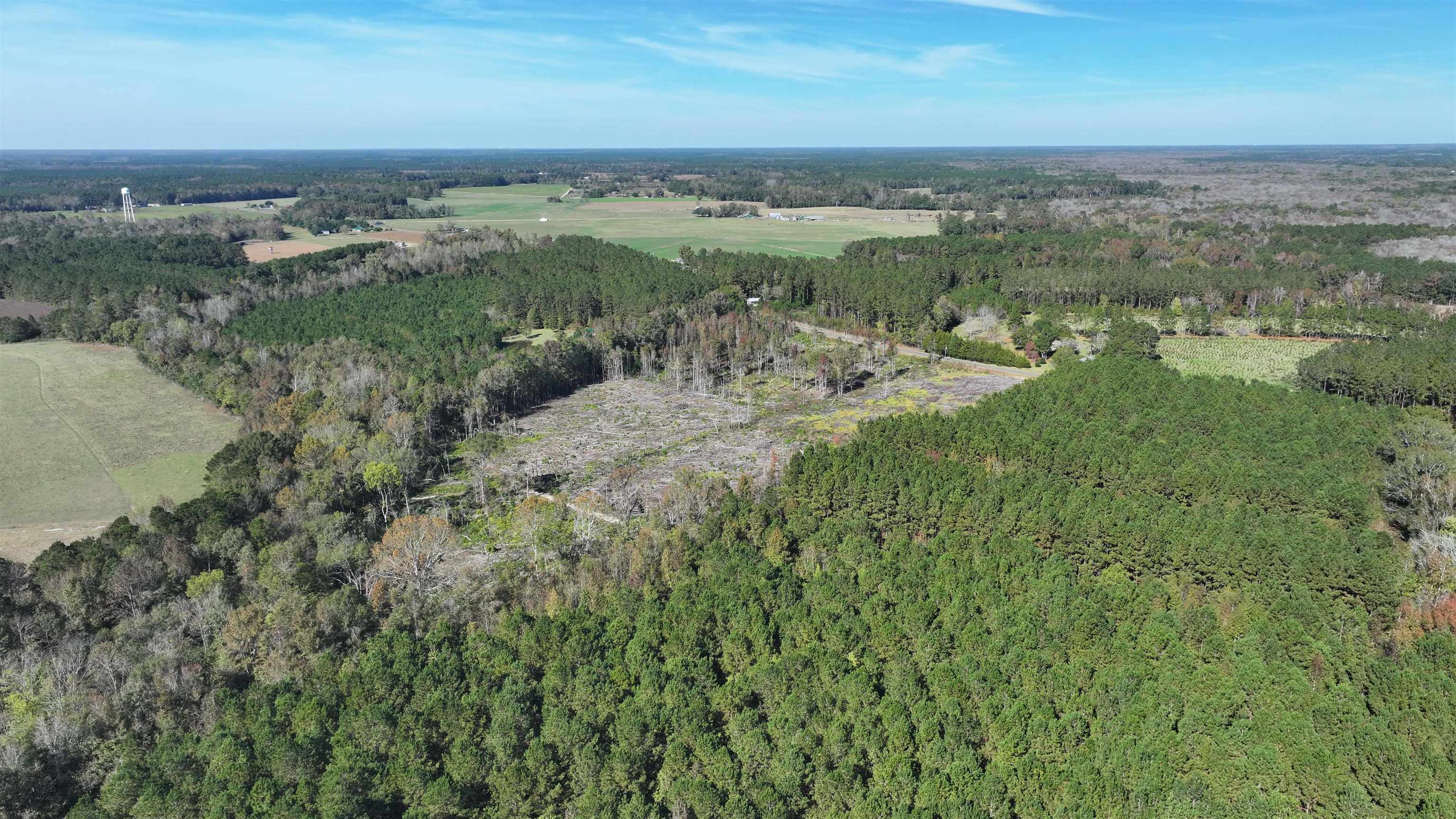 16.62-acres-tbd East Bay Road Gresham, SC 29546 - Photo 10 of 29