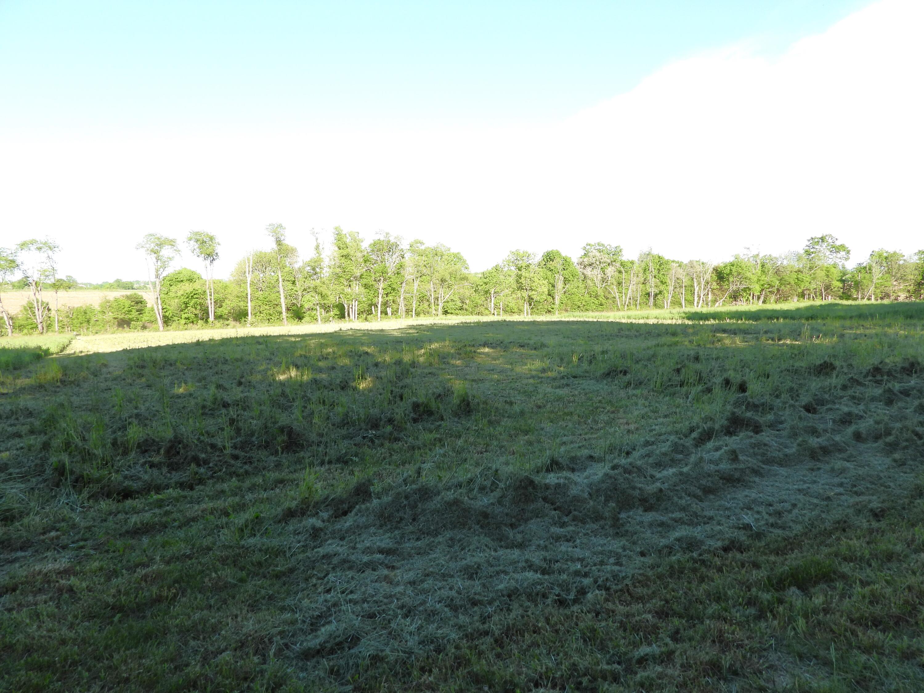 1999 Walnut Grove Road Carlisle, KY 40311 - Photo 12 of 14 DSCN6064
