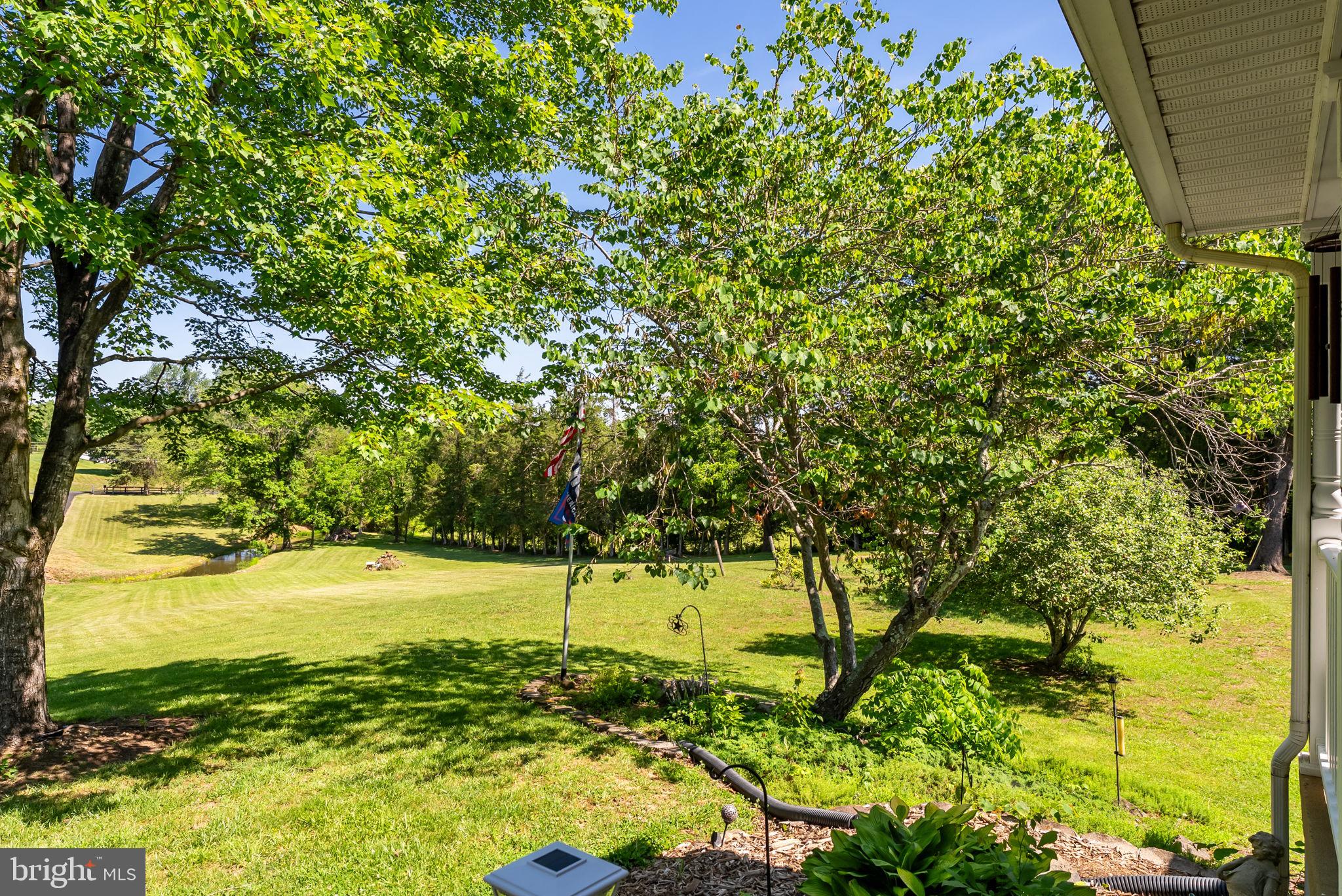 21147 Cedar Grove Road Culpeper, VA 22701 - Photo 12 of 91