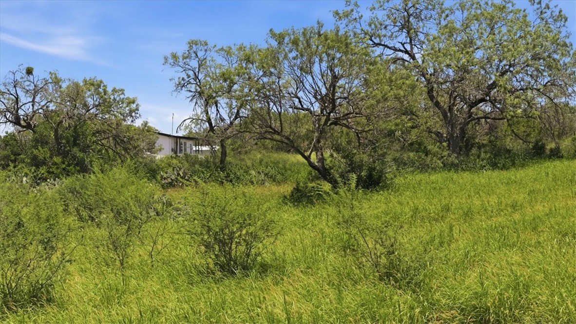 140 Choke Canyon Three Rivers, TX 78071 - Photo 6 of 17