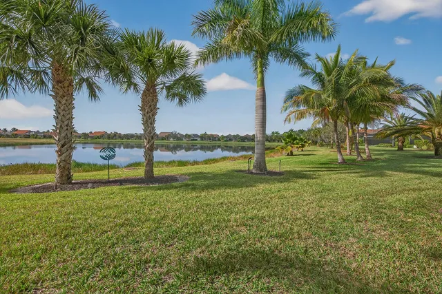 a view of a yard with a palm tree