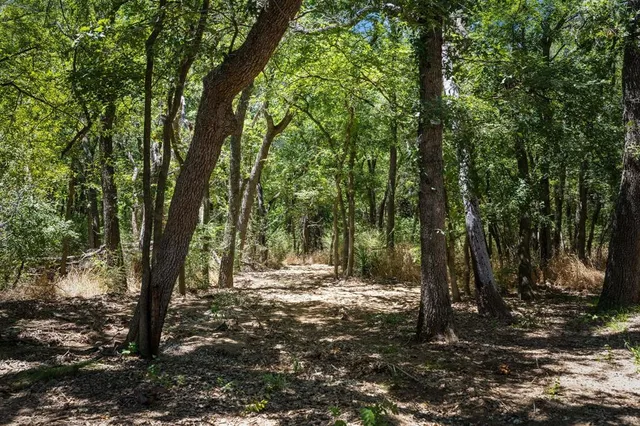 a view of outdoor space and trees