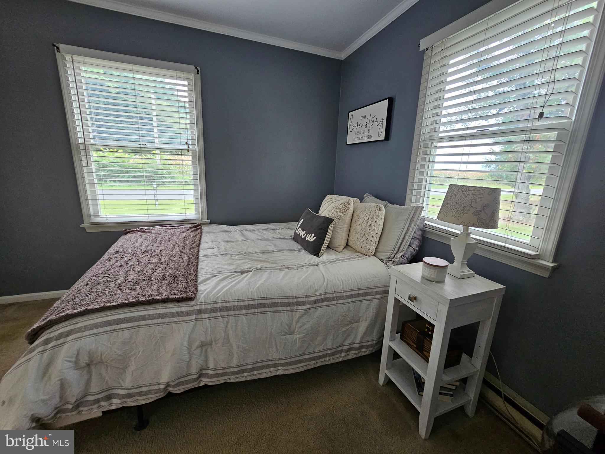 10408 Lewistown Road Cordova, MD 21625 - Photo 11 of 28 Primary bedroom